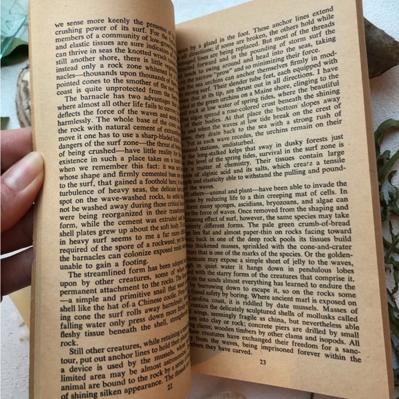 The Edge Of The Sea by Rachel Carson, w/ 160+ illustrations by Bob Hines, 1955 - Picture 9 of 15